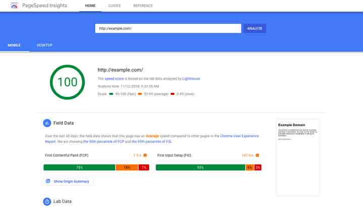 przyklad google page speed insights